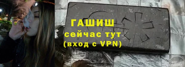 гашик Горняк