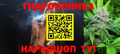 ECSTASY Волжск