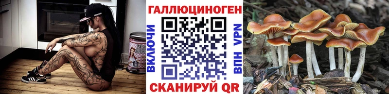 нарко площадка как зайти наркотики Дивногорск Галлюциногенные грибы MAGIC MUSHROOMS