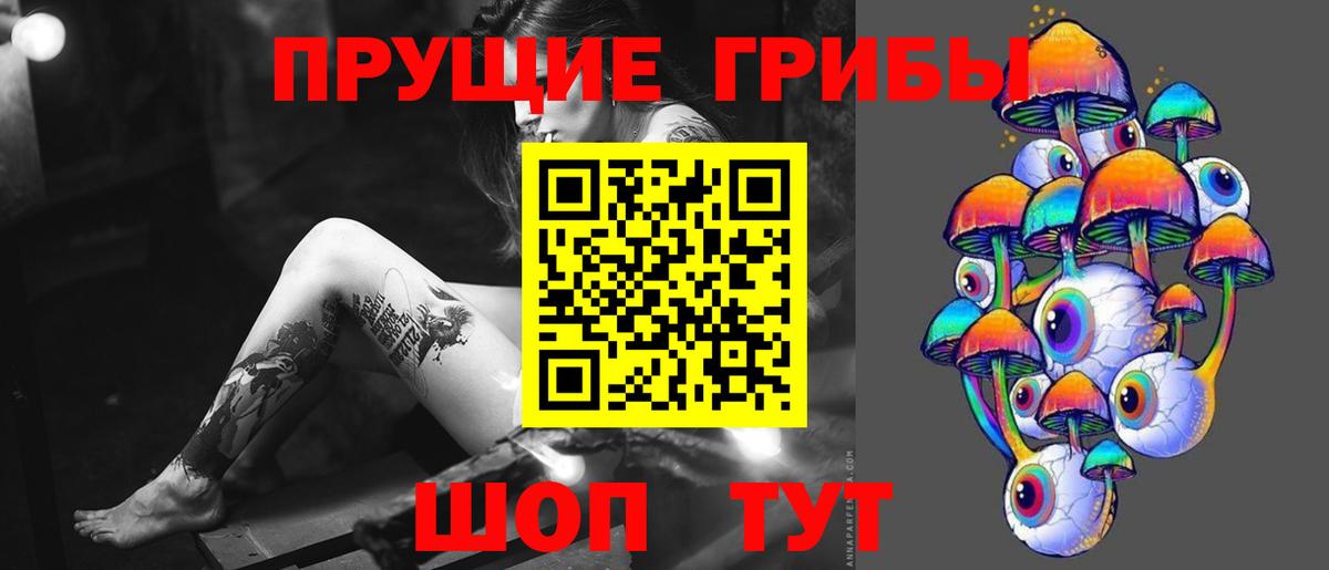 Галлюциногенные грибы ЛСД  Вход с VPN  Дивногорск 